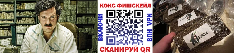 где можно купить   Чита  Cocaine Columbia 