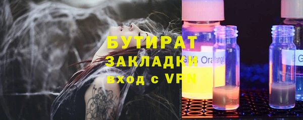 хмурый Пересвет