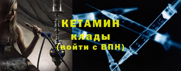 хмурый Пересвет