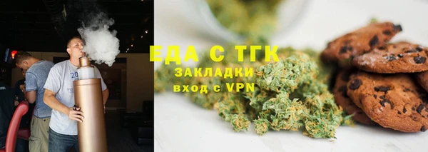 хмурый Пересвет