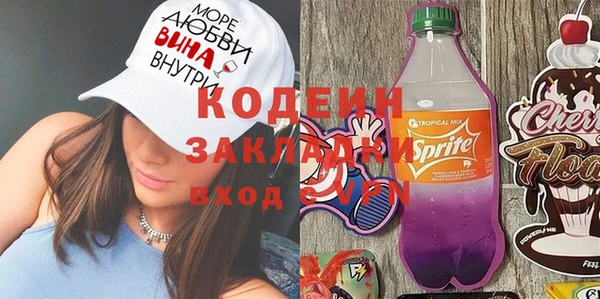 хмурый Пересвет