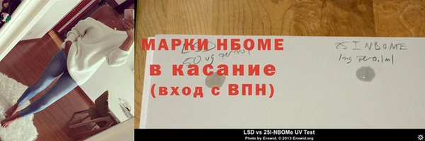 хмурый Пересвет