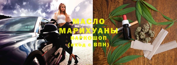 хмурый Пересвет