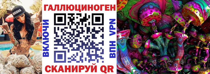 Галлюциногенные грибы Psilocybe  Чита 