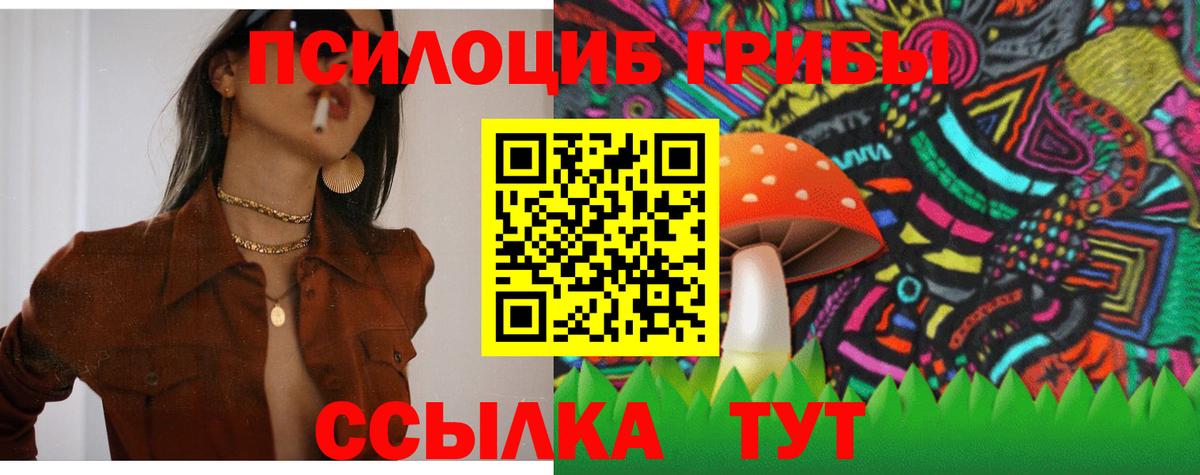Псилоцибиновые грибы Cubensis Чита