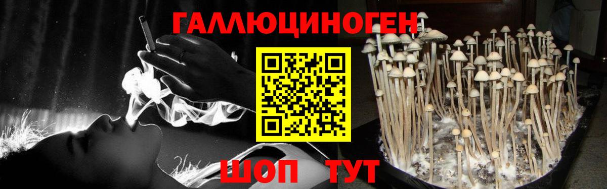 Чита  Галлюциногенные грибы мицелий  Вход с VPN 