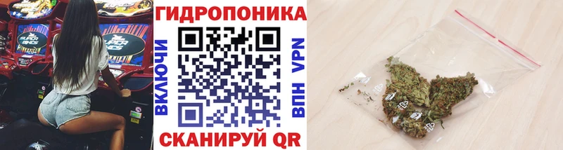 закладка  Чита  Конопля семена 